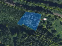 Dražba lesa, Jablonec nad Jizerou, 2416 m2