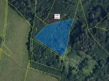 Dražba lesa, Horní Studénky, 7904 m2