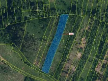 Dražba lesa, Chotěbudice, 4302 m2