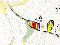 Dražba lesa, Chotěbudice, 529 m2