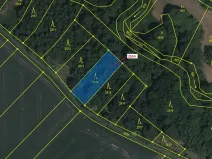 Dražba lesa, Chotěbudice, 532 m2