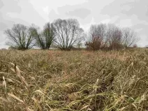 Prodej pozemku, Křenovice, 4103 m2