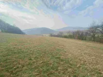 Prodej pozemku, Linhartice, 9269 m2