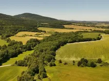 Prodej lesa, Horní Stropnice, 35281 m2