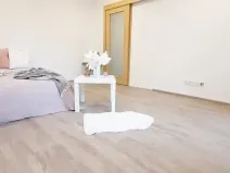 Pronájem bytu 1+1, Brno, Fričova, 46 m2