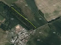 Prodej lesa, Dubňany, 5378 m2