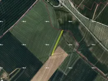 Prodej podílu pole, Boršice, 8735 m2