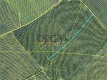Prodej pole, Moravská Nová Ves, 7471 m2