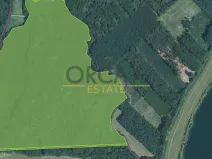 Prodej lesa, Kostelany nad Moravou, 58008 m2