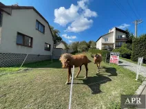 Prodej pozemku pro bydlení, Pašovice, 1279 m2