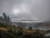 Prodej pozemku pro bydlení, Žítková, 6433 m2