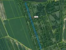 Dražba lesa, Břehov, 20146 m2