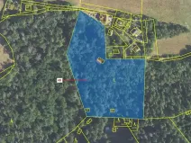 Dražba lesa, Sýkořice, 8962 m2