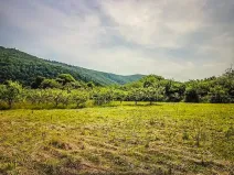 Prodej pozemku pro bydlení, Štěpánovice, 5402 m2