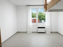 Prodej bytu 1+kk, Praha - Žižkov, V domově, 24 m2