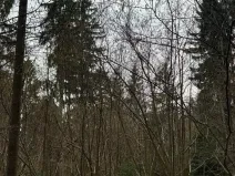 Prodej pole, Hlavňovice, 11738 m2