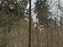 Prodej pole, Hlavňovice, 11738 m2