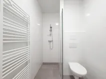 Pronájem bytu 2+kk, Praha - Žižkov, Jeseniova, 54 m2