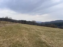 Prodej louky, Proseč pod Ještědem, 3510 m2