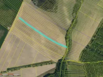 Prodej pole, Skoronice, 10065 m2