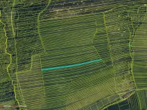 Prodej pole, Hradčovice, 2918 m2