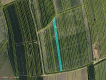 Prodej pole, Dolní Němčí, 18611 m2