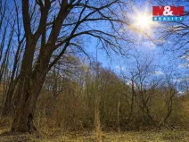 Prodej lesa, Snědovice - Střížovice, 2037 m2