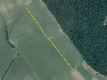 Prodej pole, Starý Poddvorov, 7224 m2