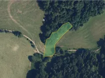 Prodej louky, Zborov, 9806 m2