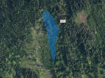 Dražba lesa, Velké Hamry, 6125 m2