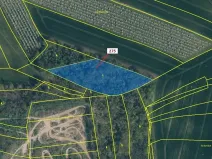 Dražba lesa, Jeviněves, 10319 m2