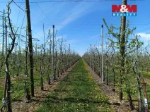 Prodej pole, Synkov-Slemeno - Slemeno, 8946 m2