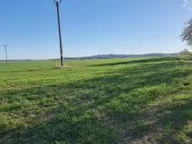 Prodej pole, Rokytnice nad Rokytnou, 25097 m2