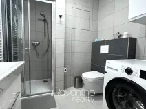 Pronájem bytu 1+kk, Brno, Spolková, 38 m2