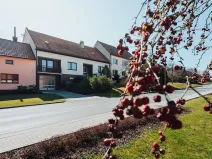 Prodej rodinného domu, Nedachlebice, 410 m2