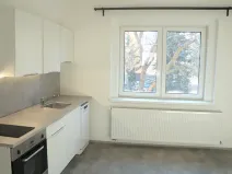 Pronájem bytu 1+1, Žatec, Boženy Němcové, 40 m2