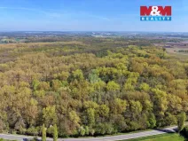 Prodej lesa, Přerov nad Labem, 70048 m2