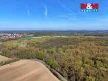 Prodej lesa, Přerov nad Labem, 70048 m2