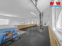 Prodej obchodního prostoru, Hradec Králové - Pražské Předměstí, Seydlerova, 195 m2