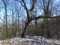 Prodej pozemku, Ústí nad Labem, 7064 m2