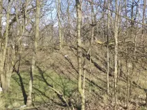 Prodej pozemku, Ústí nad Labem, 7064 m2