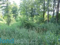 Prodej pozemku, Staré Buky, 154 m2