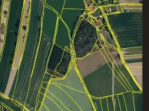 Prodej lesa, Červená Řečice, 150 m2