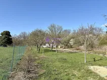 Pronájem zahrady, Olomouc - Hodolany, 1636 m2