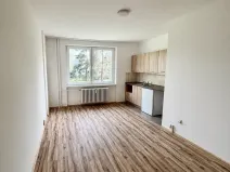 Pronájem bytu 1+kk, Frýdek-Místek, Slezská, 23 m2