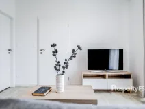 Pronájem bytu 2+kk, Brno - Dolní Heršpice, Havránkova, 43 m2