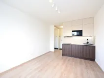 Pronájem bytu 1+kk, Praha - Vršovice, Kubánské náměstí, 19 m2