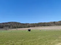 Prodej pozemku pro bydlení, Horažďovice, 2250 m2