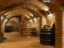 Prodej vícegeneračního domu, Dolní Bojanovice, Vinařská, 367 m2