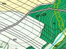 Prodej lesa, Chotýšany, 21423 m2